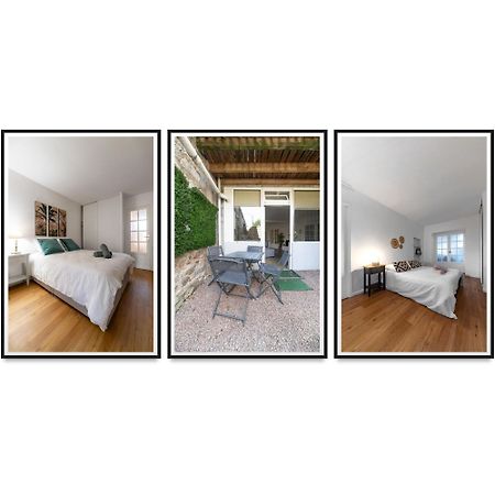 Le Celestin - Appartement 2 Chambres Avec Jardin En Centre Ville فيشي المظهر الخارجي الصورة